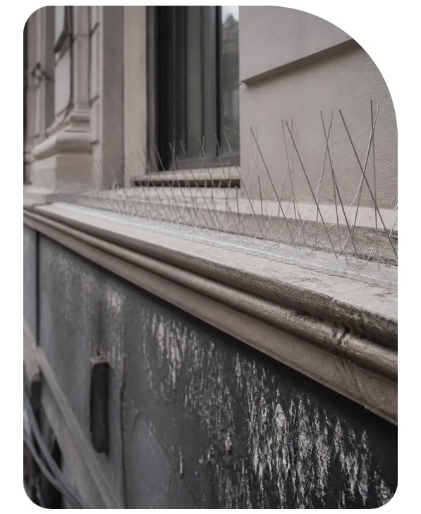 Антиприсадочные шипы от птиц в Юбилейном по цене от 3606 р. | Сенат-Юбл